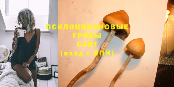 ГАЛЛЮЦИНОГЕННЫЕ ГРИБЫ Лихославль