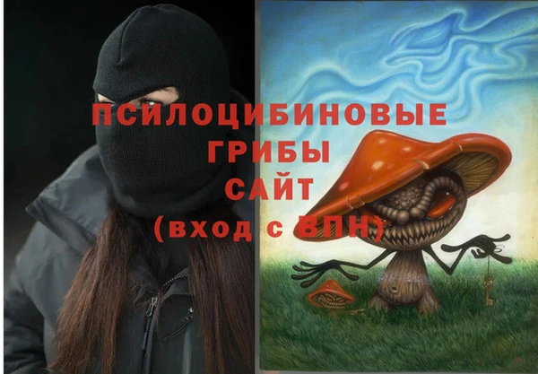 шишки Бугульма